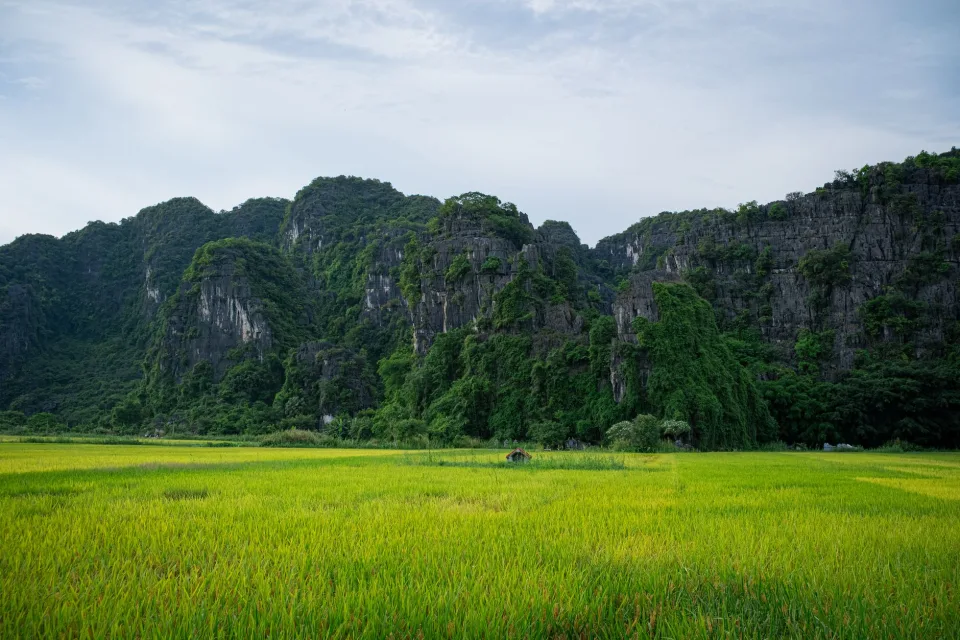 Kho gạo của Nguyễn Thị Khánh 01